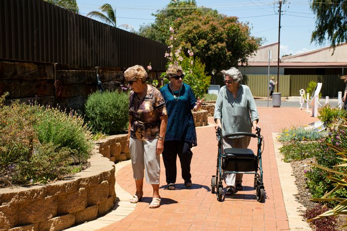 Garden walk in Holliday Park
